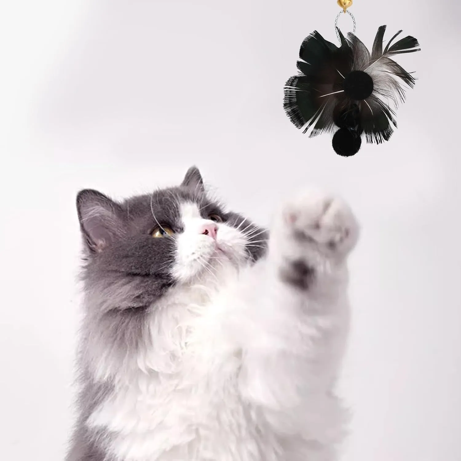 10 Pieces Cat Feather Toys Replacement Insect Cat Toy Wand Refills Cats Toy Replacement Natural Bird Feathers for Cats Toys