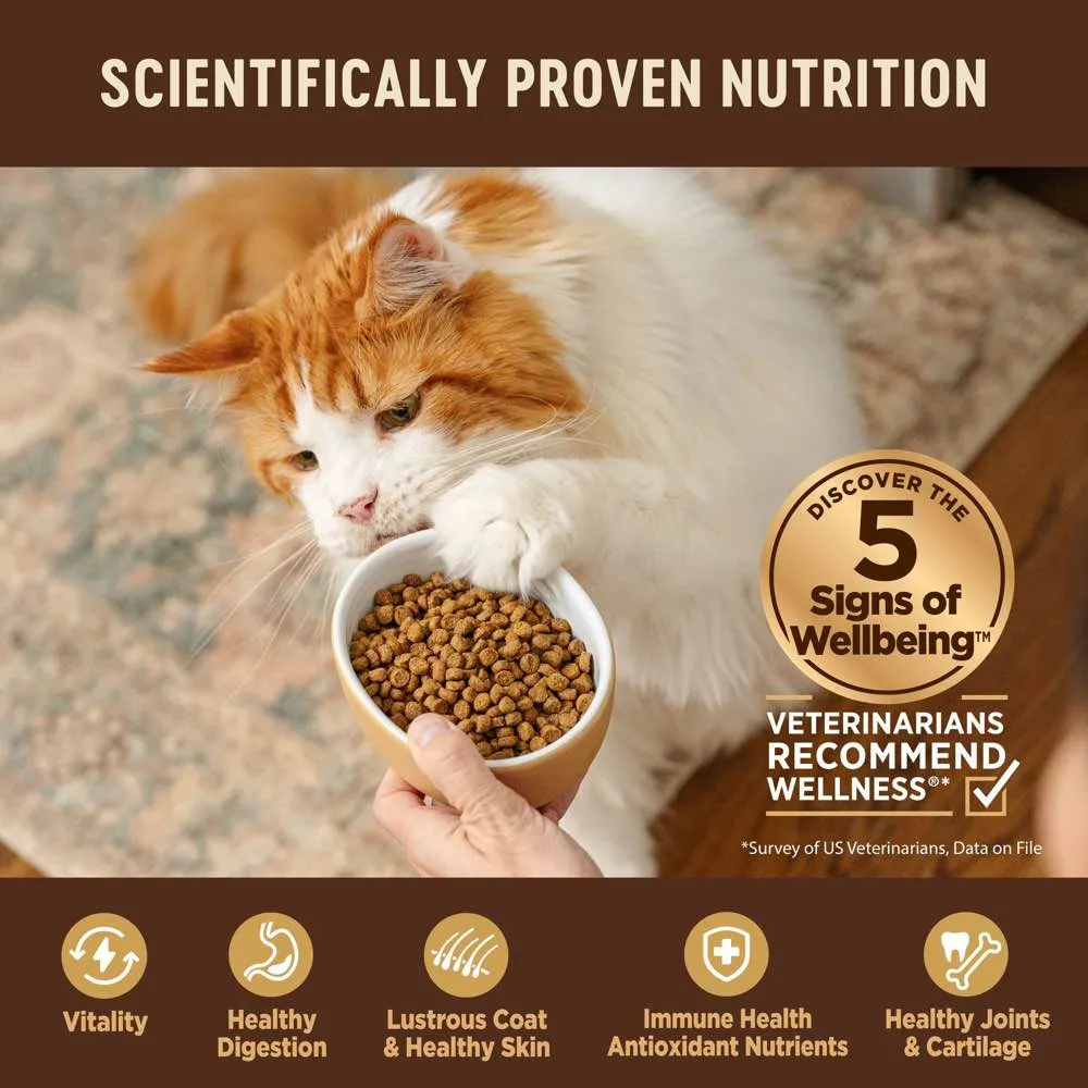 '20% OFF/FREE CANNED FOOD w 5lb': Wellness CORE Kitten Deboned Turkey, Turkey Meal & Deboned Chicken Grain-Free Dry Cat Food
