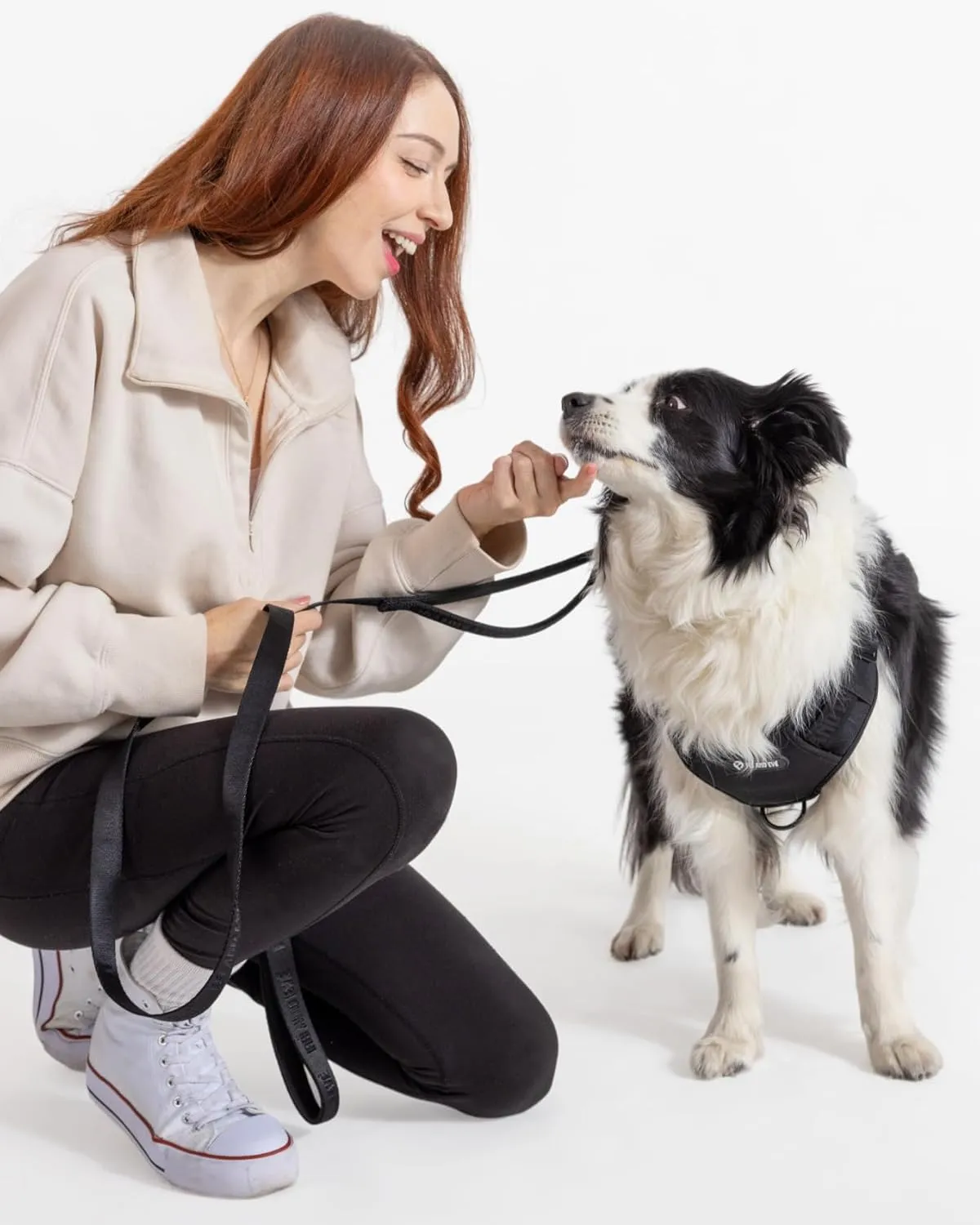 2025 New Edition, Fei & Eve Classic Dog Leash - 6FT, Dual Padded Handles, 360 Swivel Hook, Heavy Duty 210D Nylon - No-Pull Design with Traffic Control Handle - for Small/Medium/Large Dogs, Black