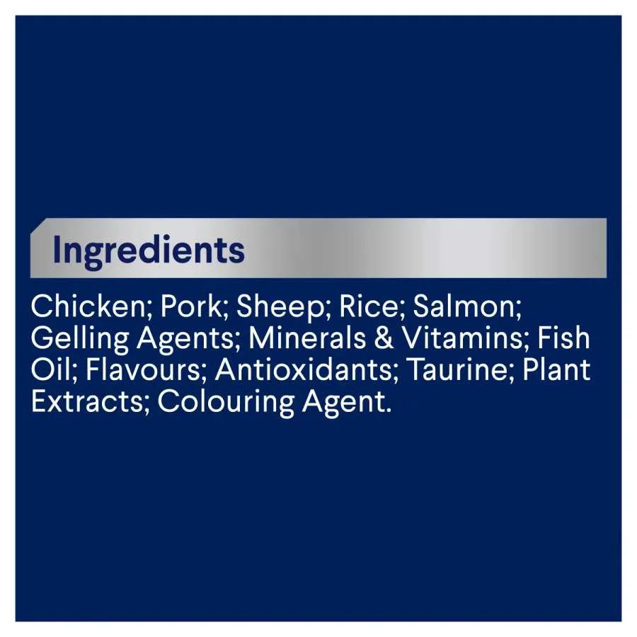Advance Kitten Salmon Chicken