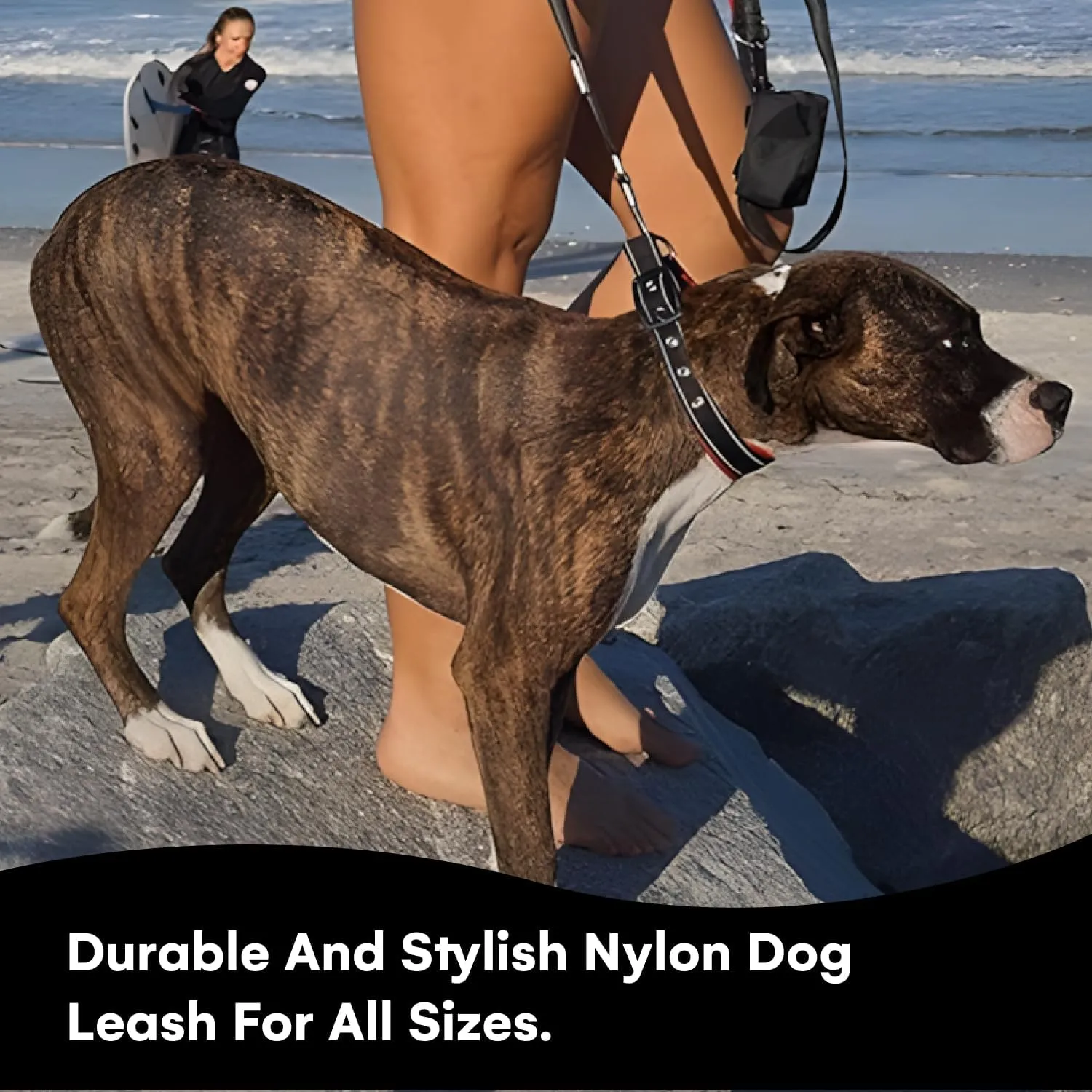 Black Rhino 6 ft Long Heavy Duty Dog Leash with Traffic Handle for Medium and Large Dogs - with Padded Neoprene Dual Handles, Bag and Clip - Reflective, Durable, and Weather Resistant - Red