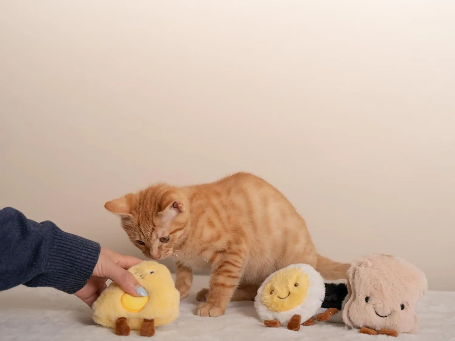 BLUE BAY Plush Interactive Toy with Catnip for Cats and Kittens | Chew, Bite, Boredom Relief (Pineapple)
