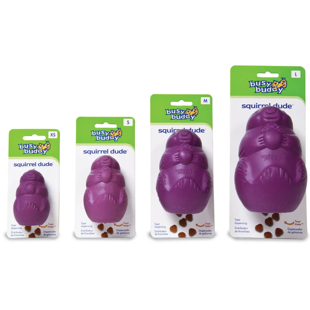 Busy Buddy® Squirrel Dude™