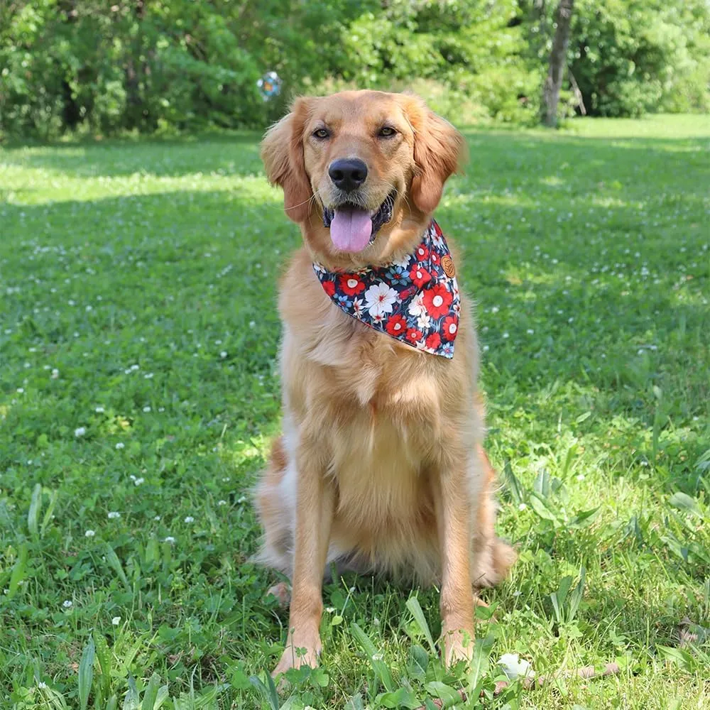 CROWNED BEAUTY 4th of July Patriotic Dog Bandanas Reversible Small 2 Pack, Floral Star Set, Plaid Adjustable Triangle Holiday Scarves for Dogs Pets Boy Girl Pets DB117-S