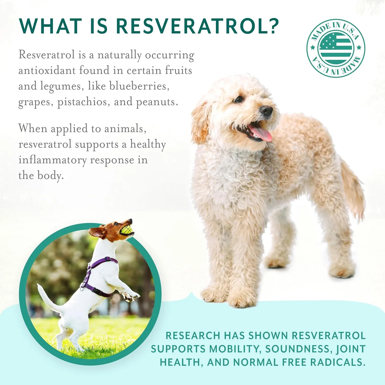 Dog Hip and Joint Support Supplement Soft Chews with Resveratrol, Glucosamine, Chondroitin, Hyaluronic Acid, Bacon Flavor, Small Breed