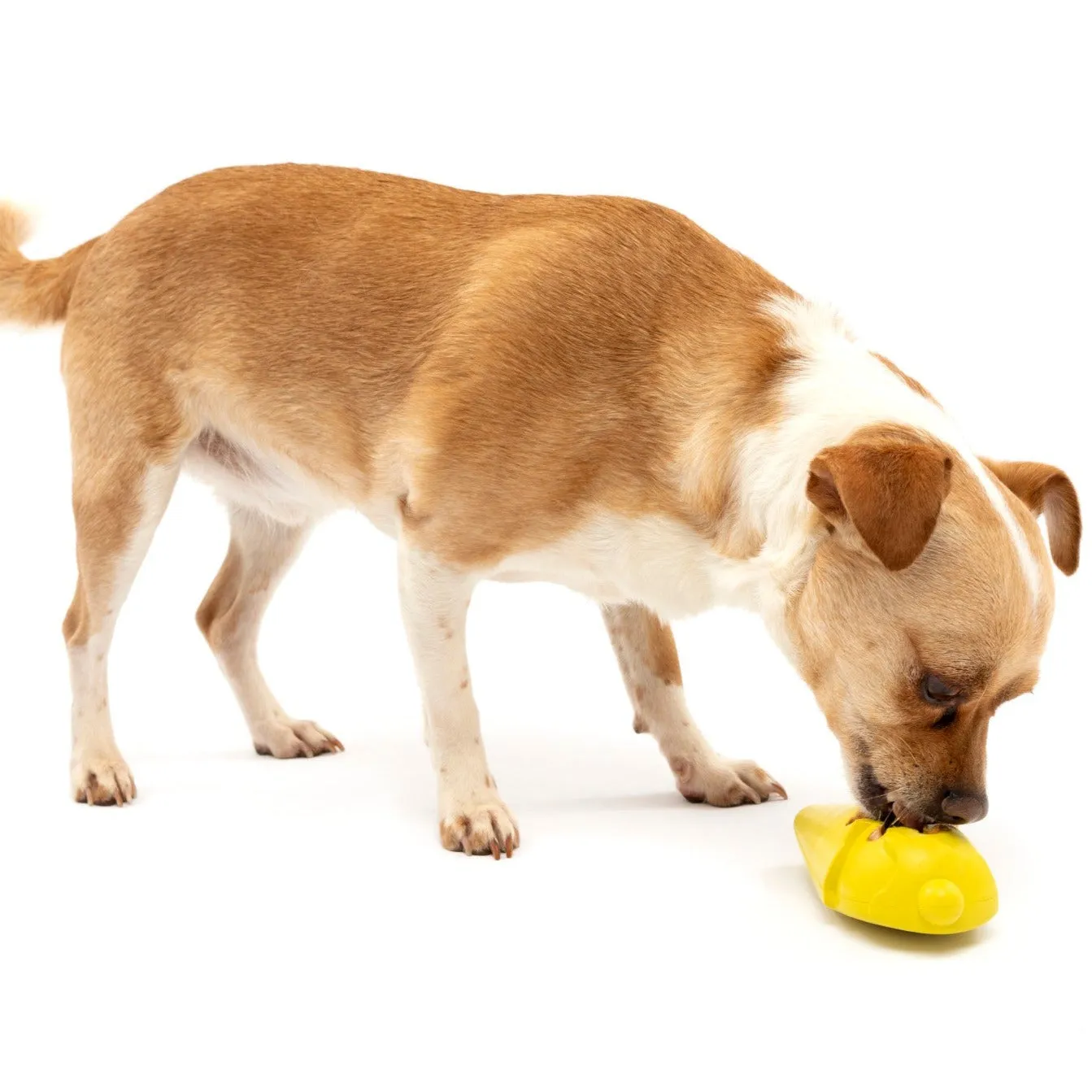 Frosty Cone Freezer Toy