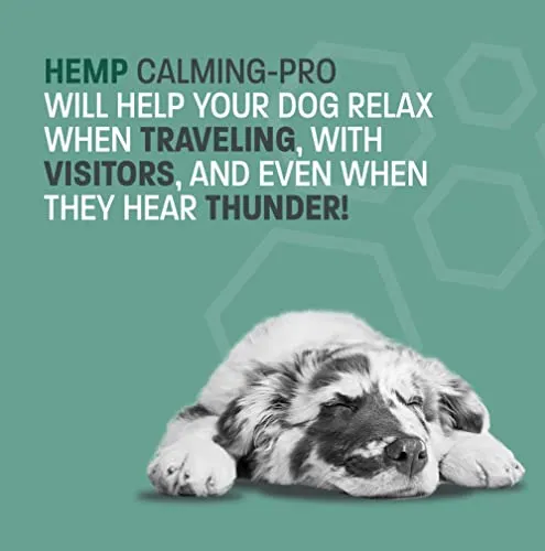 Hemp Calming Treats for Dogs Anxiety
