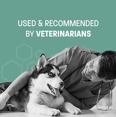 Hemp Calming Treats for Dogs Anxiety
