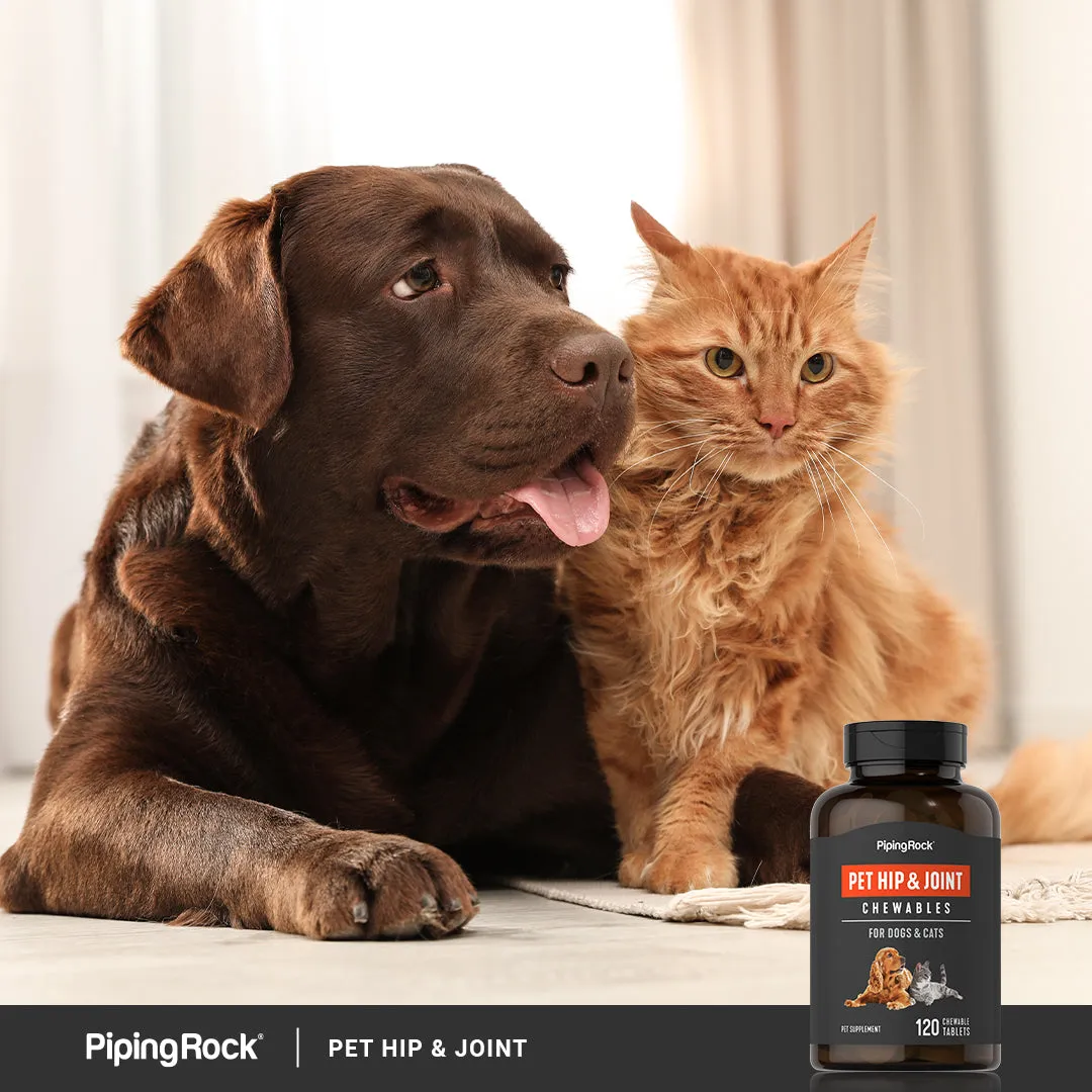 Hip & Joint for Dogs & Cats, 120 Chewable Tablets