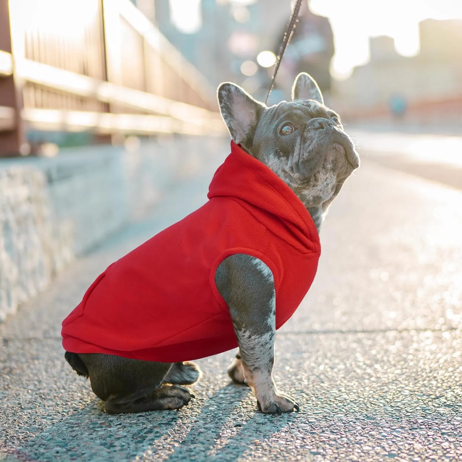 IECOii Warm Dog Hoodie for Large Dog,Dog Christmas Sweater Fleece Vest with Leash Hole,Cold Weather Hoodie for Dogs Girl Boy,Extra Large Dog Sweatshirt Dog Winter Coat for Doberman,Great Dane,Red,4XL