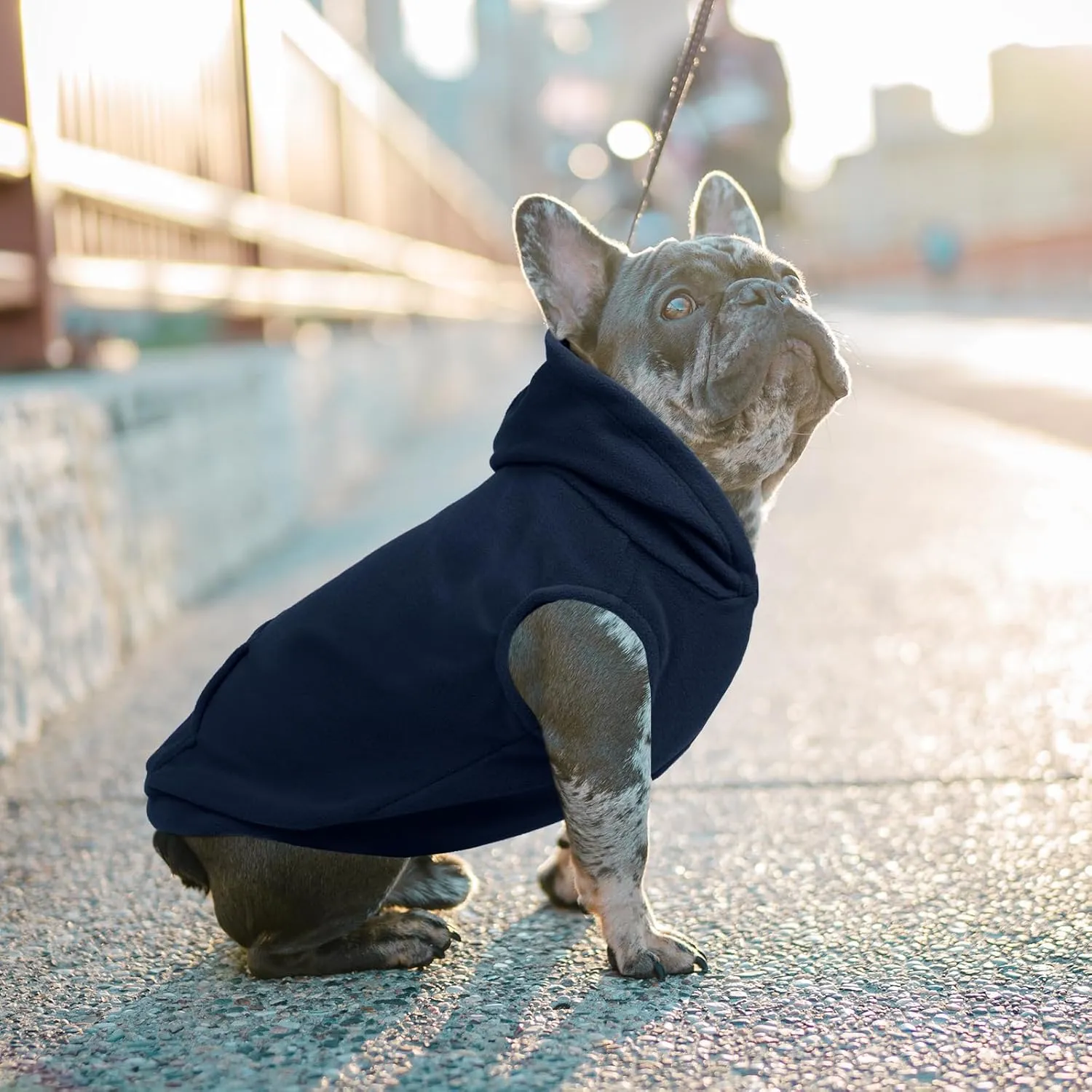 IECOii Warm Dog Hoodie for Large Dogs,Dog Hoodie Fleece Vest with Leash Hole and Pocket,Cold Weather Hoodie for Dog Girl Boy,Extra Large Dog Sweatshirt Dog Winter Coat for Doberman,Great Dane,Blue,4XL