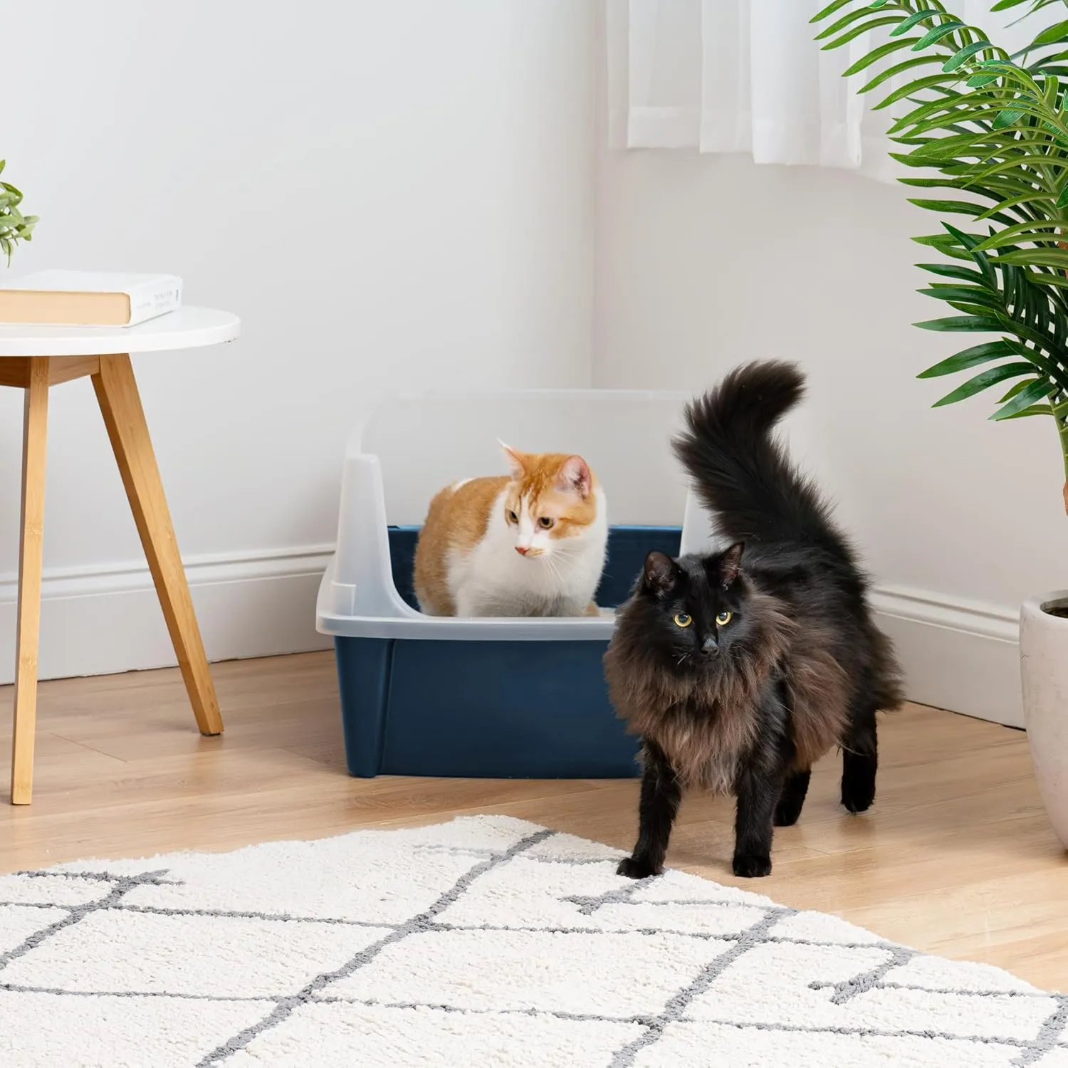 IRIS USA XX-Large Cat Litter Box, Open Top Extra Large Litter Box for Big Cats and Multi-Cat Households, High Sided Scatter Shield, Easy to Clean, 30" L x 20" W x 14" H, Navy