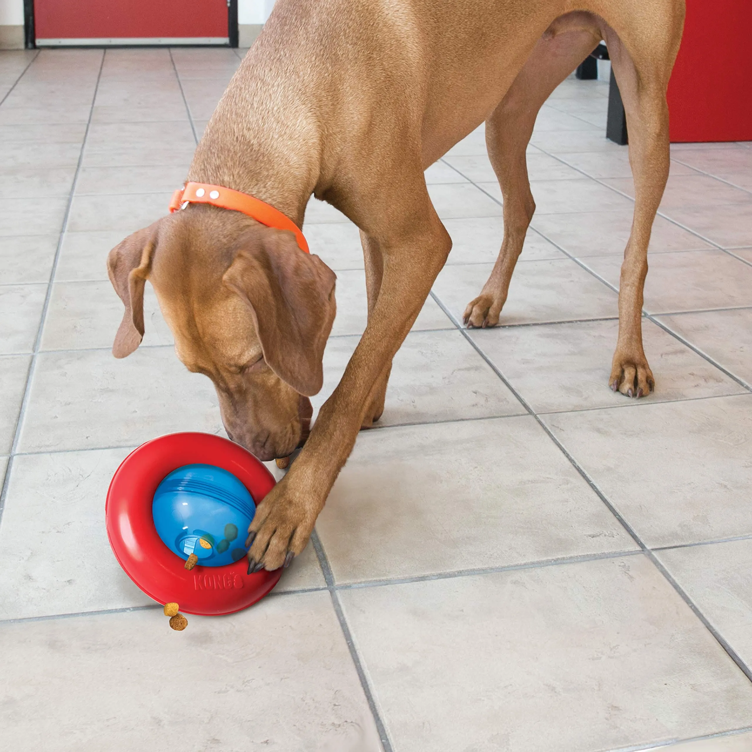 Kong Gyro Interactive Treat and Food Dispensing Strong and Sturdy Dog Toy - Large
