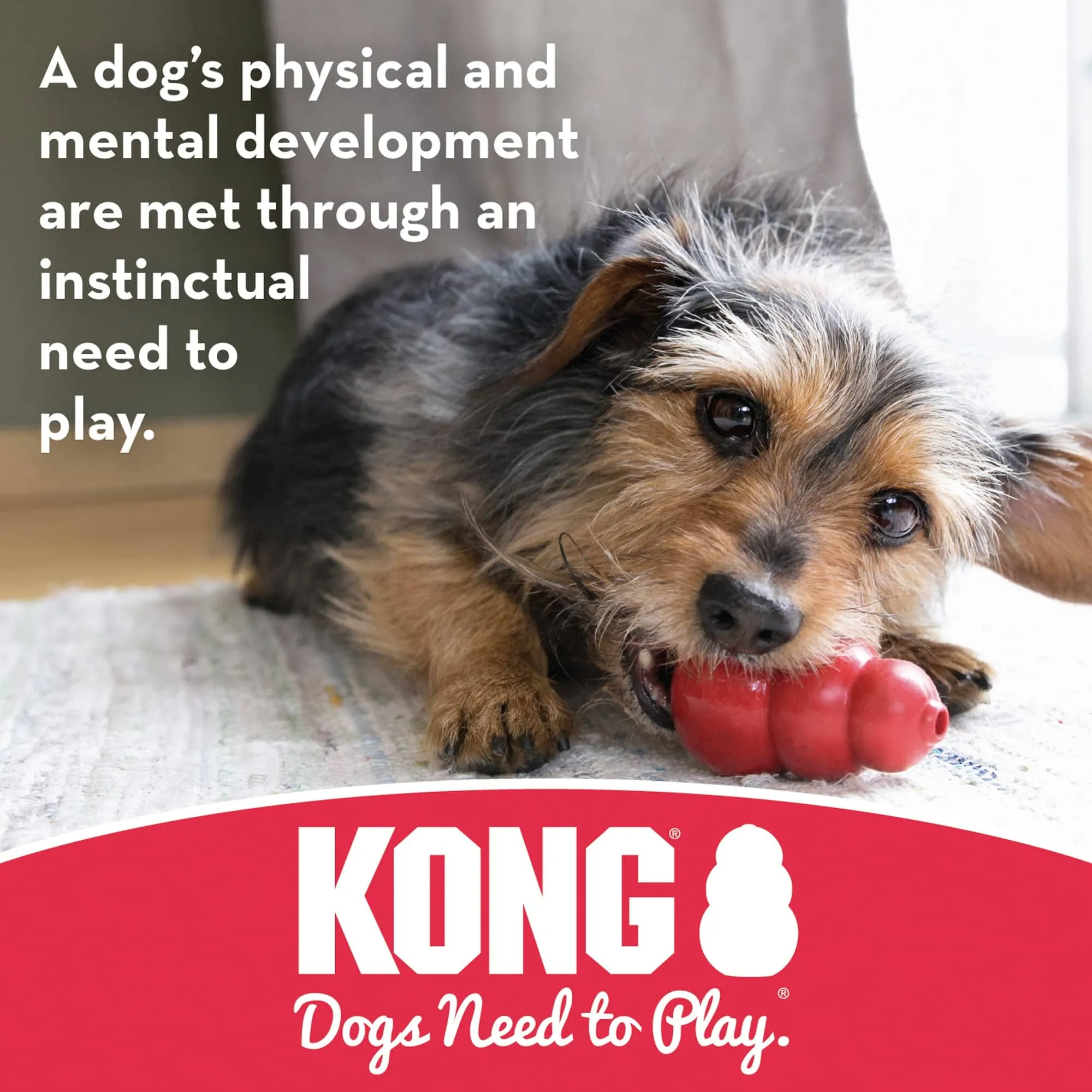 Kong Stuff-A-Ball Treat Dispensing Natural Durable Rubber Dog Toy - Red