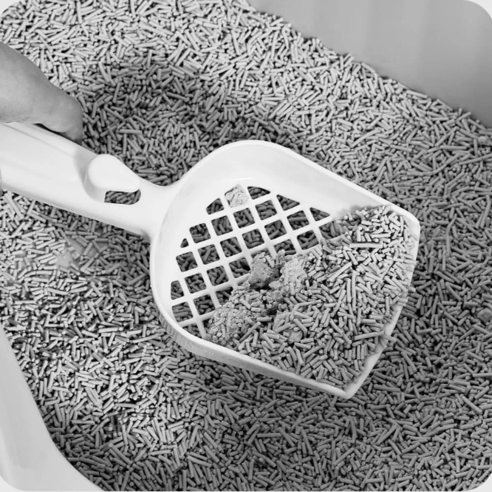 Large Cat Litter Box 20" L x 16" W x 12" H Jumbo Cat Litter Box for Multi Cat Households, High Sided Litter Box& Top Entry,Anti-Splashing Kitty Litter Box Easy Cleaning.Gray