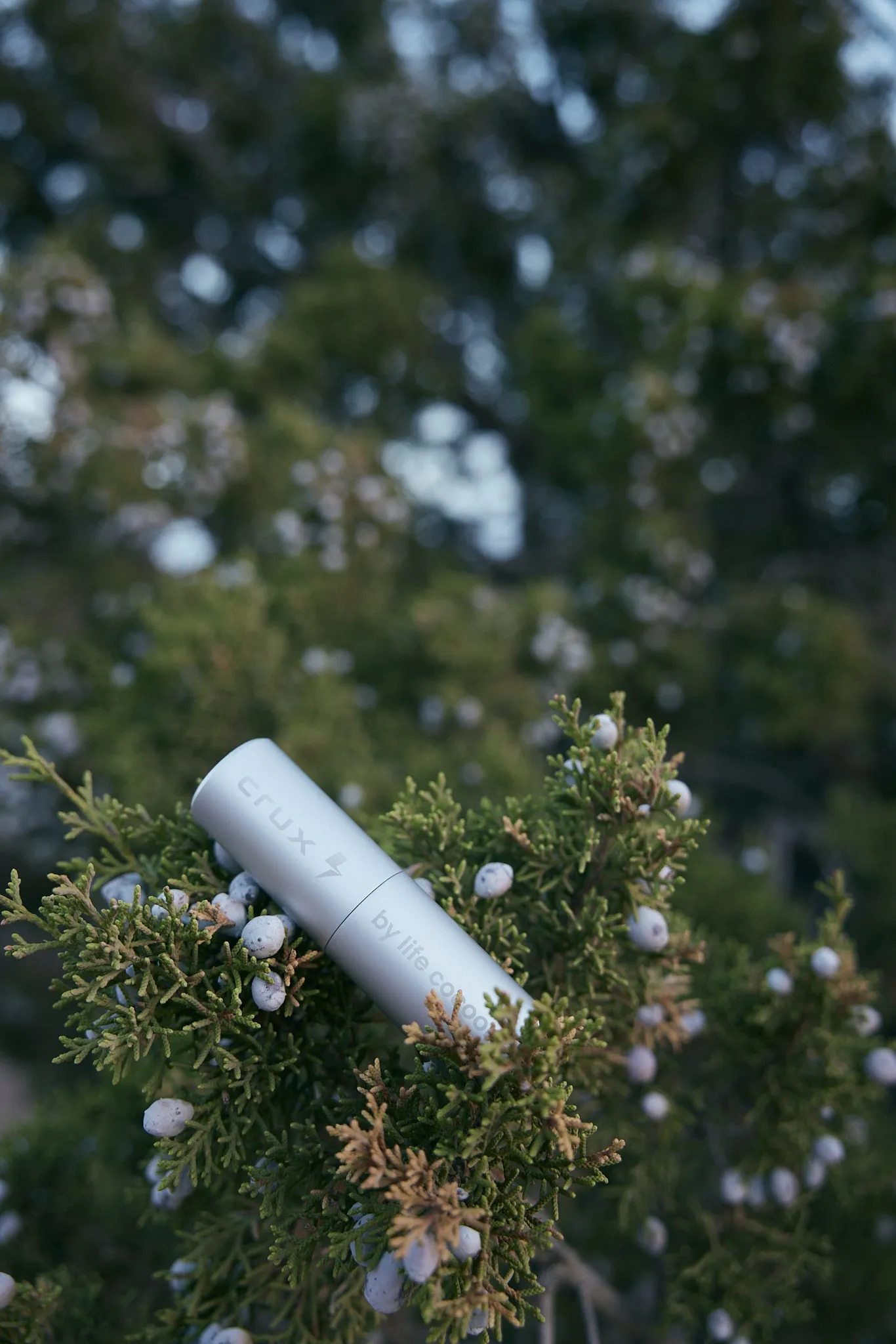 Life Cocoon Deodorizing Spray | Premium Odor Eliminator for Athletic Gear, Shoes & Equipment