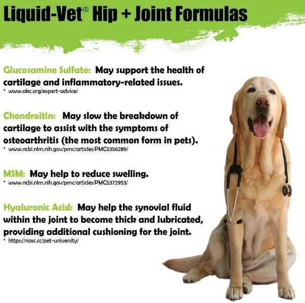 Liquid-Vet Hip & Joint Chicken Flavour Advanced Formula for Dogs