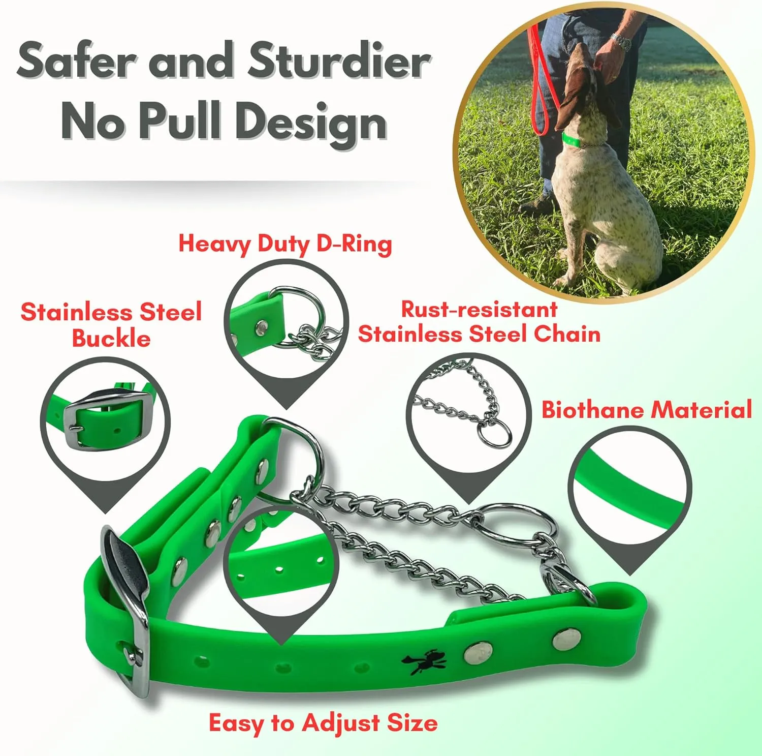Martingale Collar for Dogs, Biothane, Stainless Steel Hardware, No Pull, Made in The USA, Professional Grade, XXS, Green