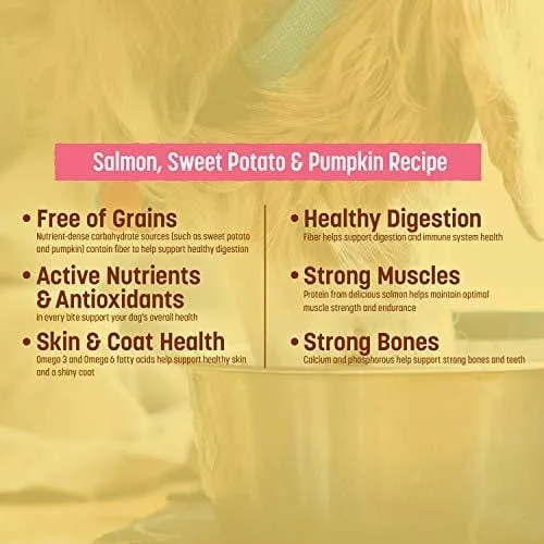 Nature's Recipe Grain Free Easy To Digest Dry Dog Food, Salmon, Sweet Potato & Pumpkin Recipe, 24 lb