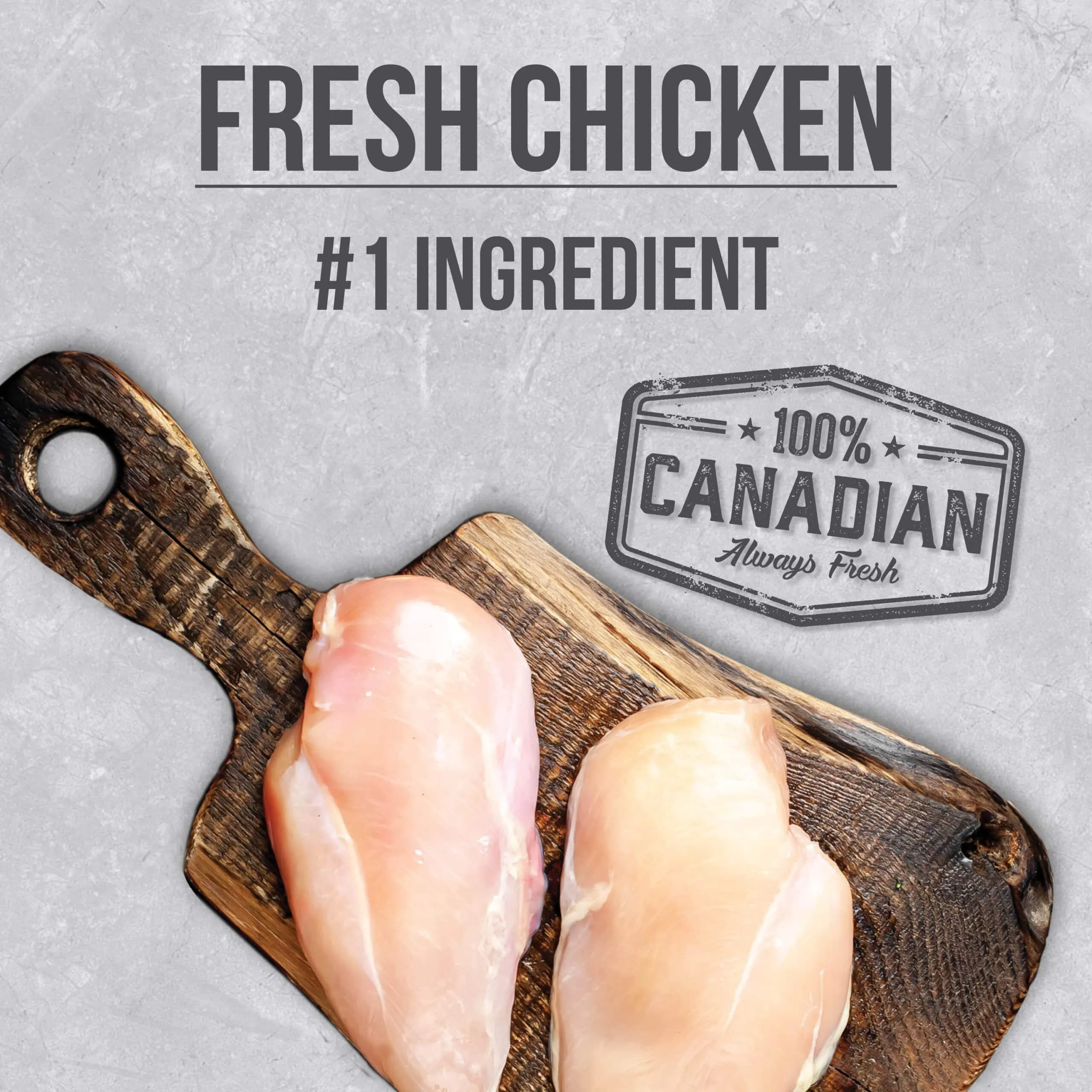 Nutrience Infusion Cat Food Healthy Senior Chicken Recipe