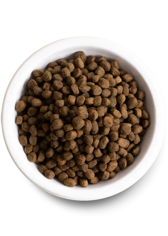 Open Farm - Grain Free Puppy Food - Salmon and Sweet Potato Dry Dog Food