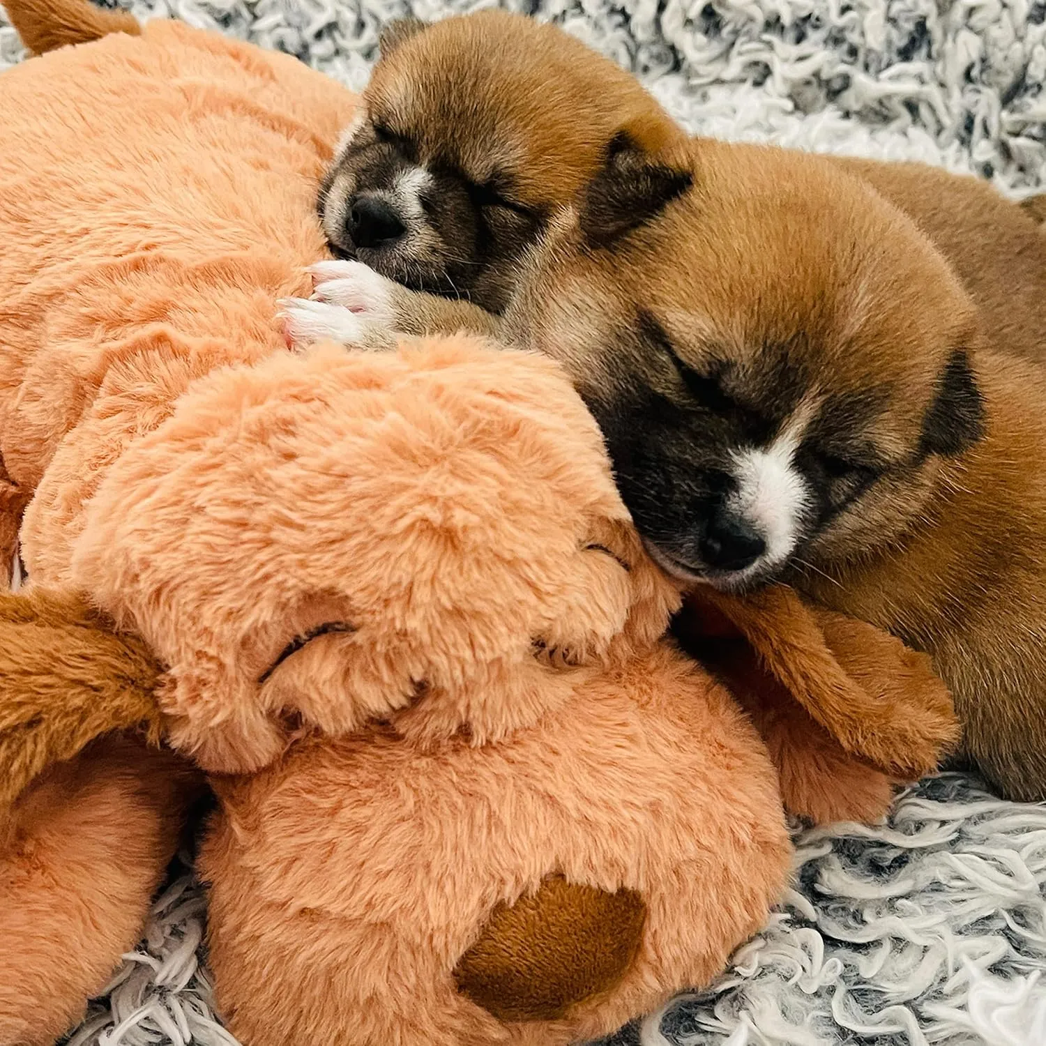 Original Snuggle Puppy Toys - Heartbeat Puppy for Dogs - Pet Anxiety Relief and Calming Aid - Comfort Dog Toys for Behavioral Training in Biscuit
