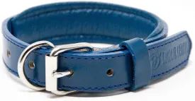 Padded Dog Collar - Best Full Grain Heavy Duty Genuine Leather Collar - Blue - Small