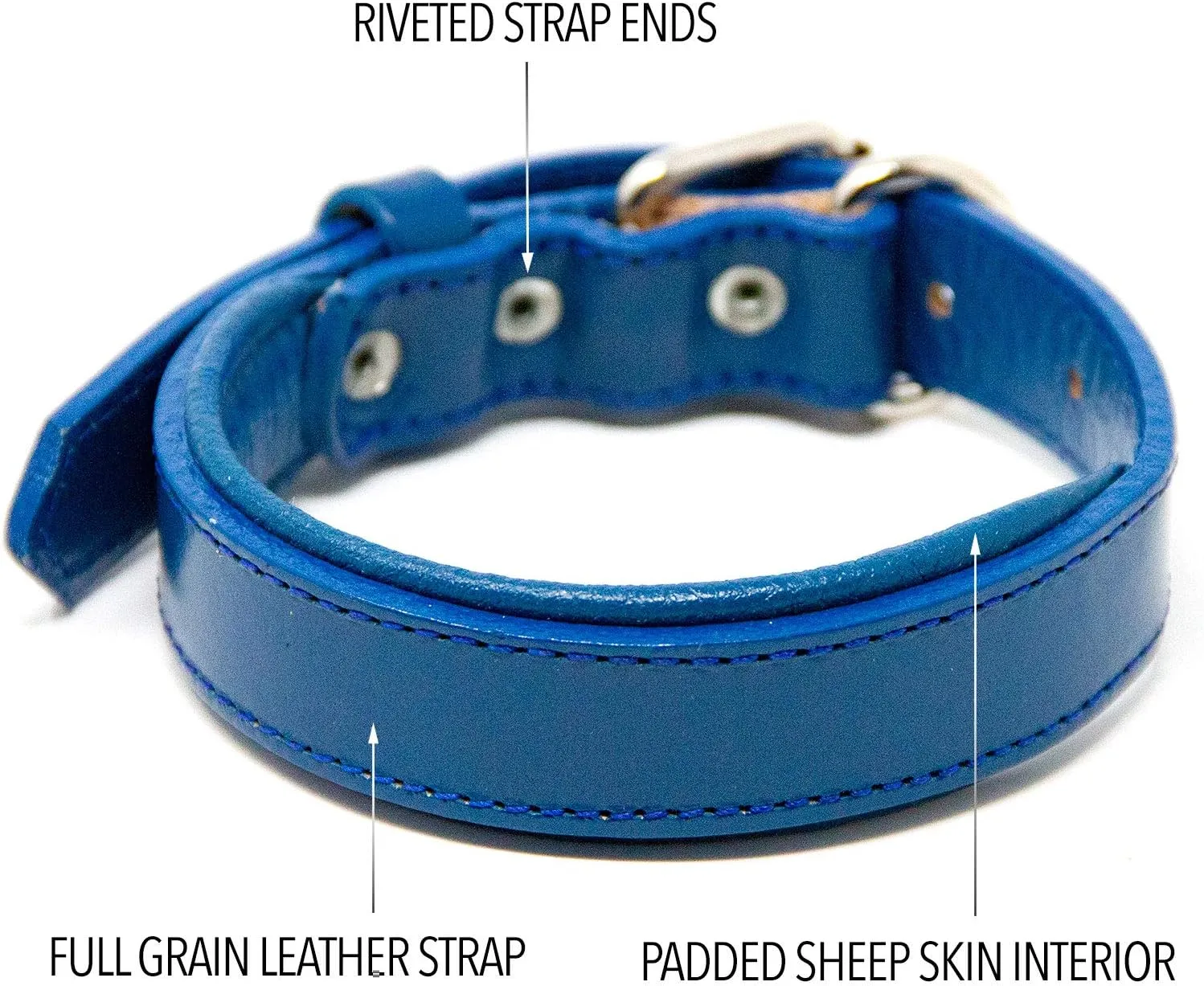 Padded Dog Collar - Best Full Grain Heavy Duty Genuine Leather Collar - Blue - Small