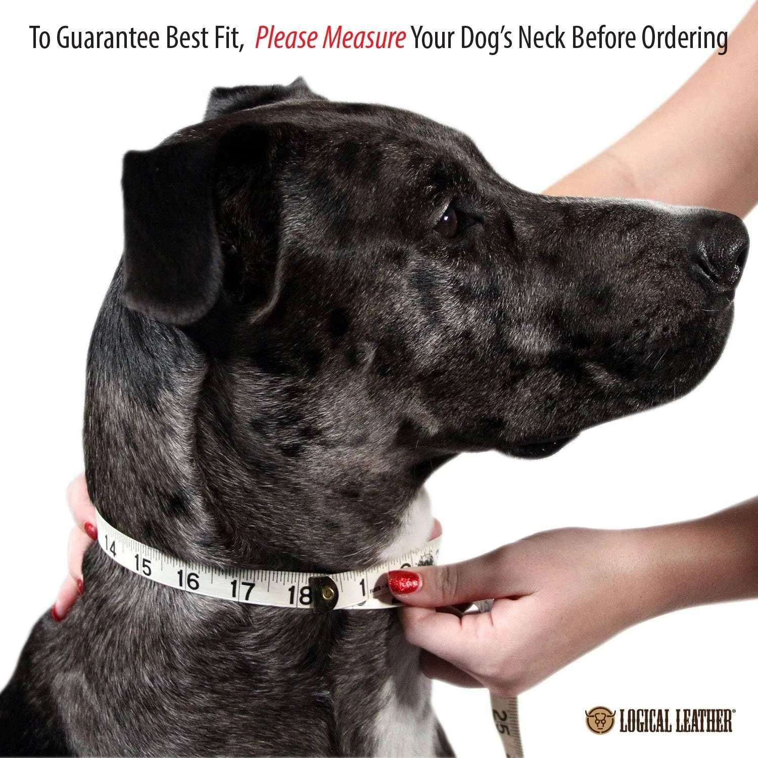 Padded Dog Collar - Best Full Grain Heavy Duty Genuine Leather Collar - Blue - Small