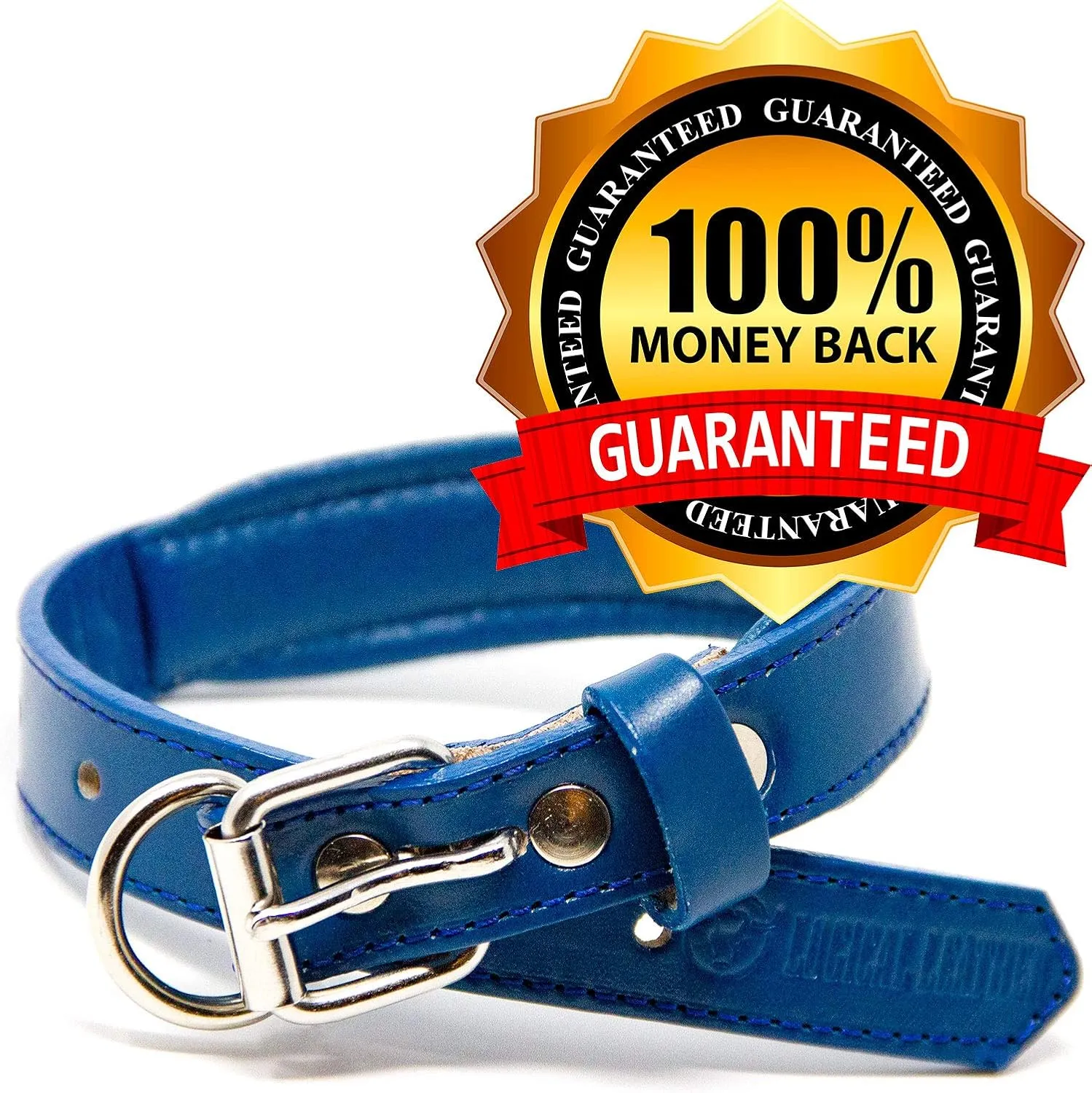 Padded Dog Collar - Best Full Grain Heavy Duty Genuine Leather Collar - Blue - Small