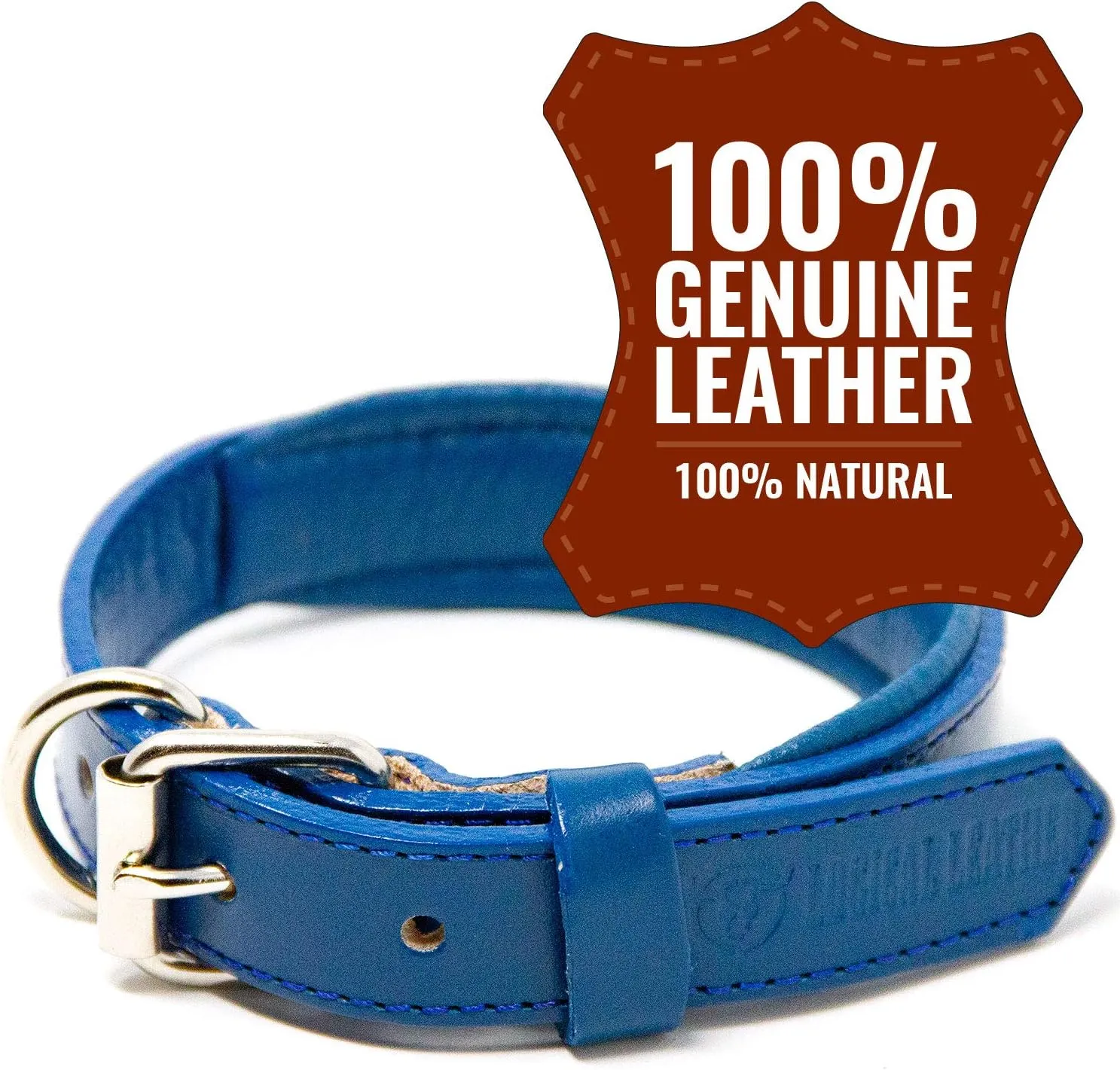 Padded Dog Collar - Best Full Grain Heavy Duty Genuine Leather Collar - Blue - Small