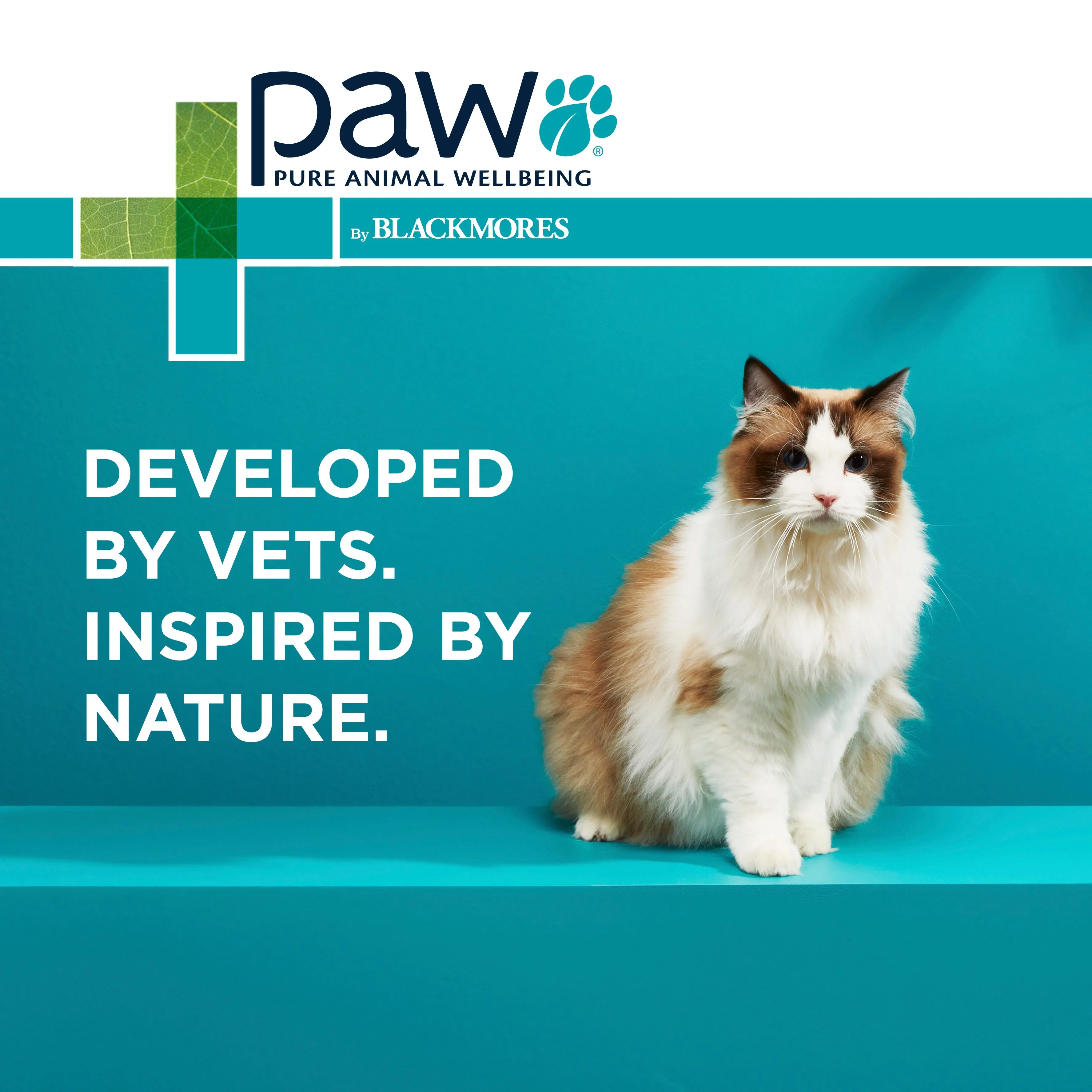 PAW Complete Calm Chews For Cats