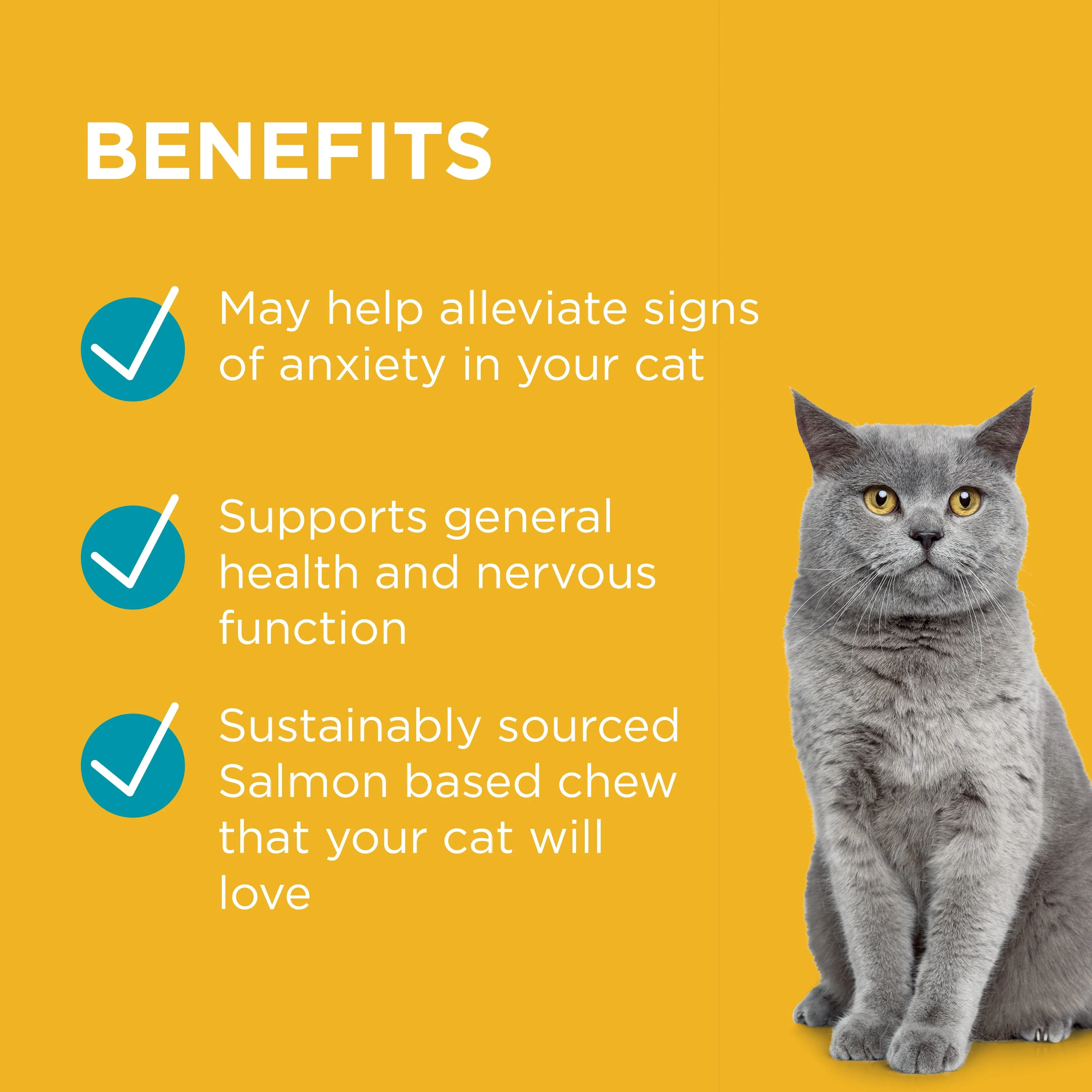 PAW Complete Calm Chews For Cats
