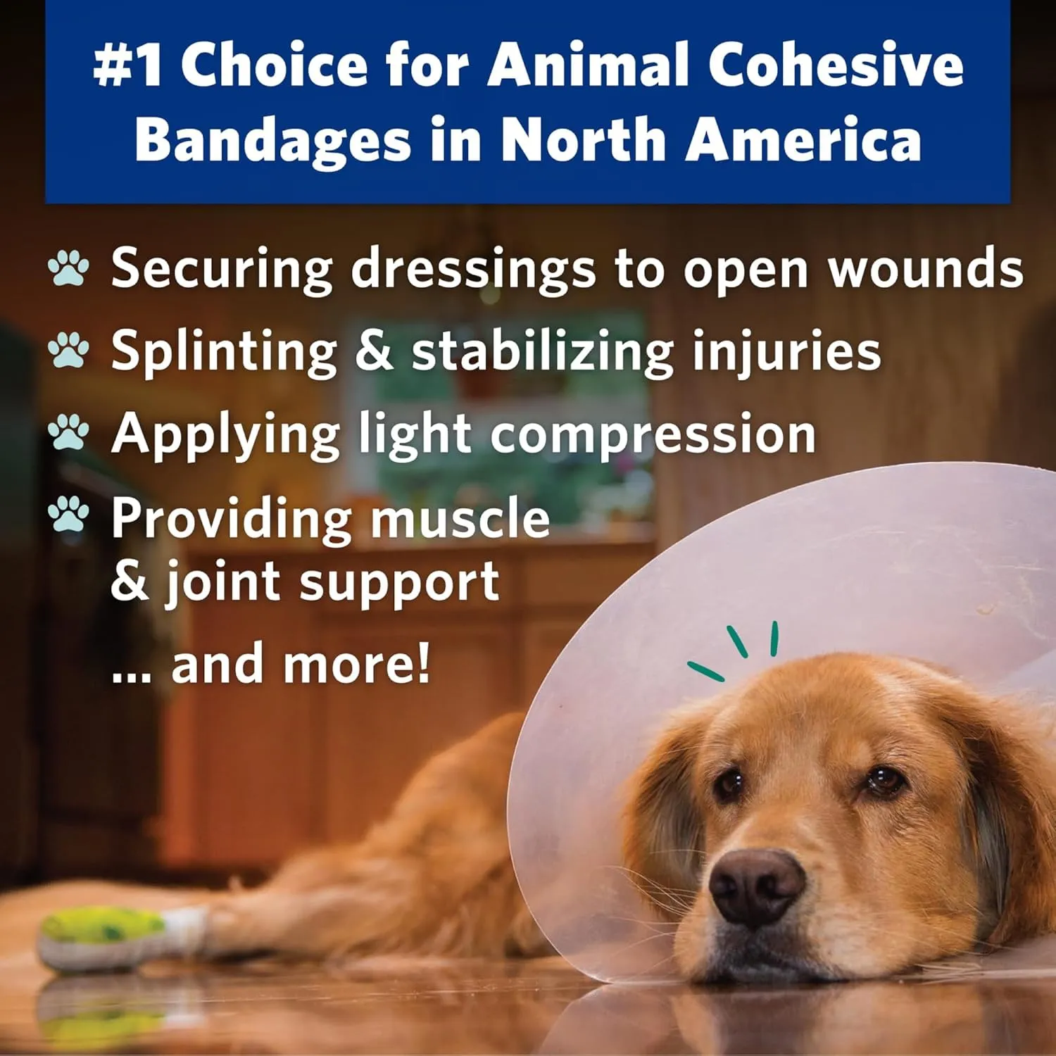 PetFlex Color Pack  Flexible Self-Adhering Elastic Bandage for Wound Care  First Aid Wrap for Small Animals Like Dogs, Cats, and Other Pets - 2 inch, 6 Rolls