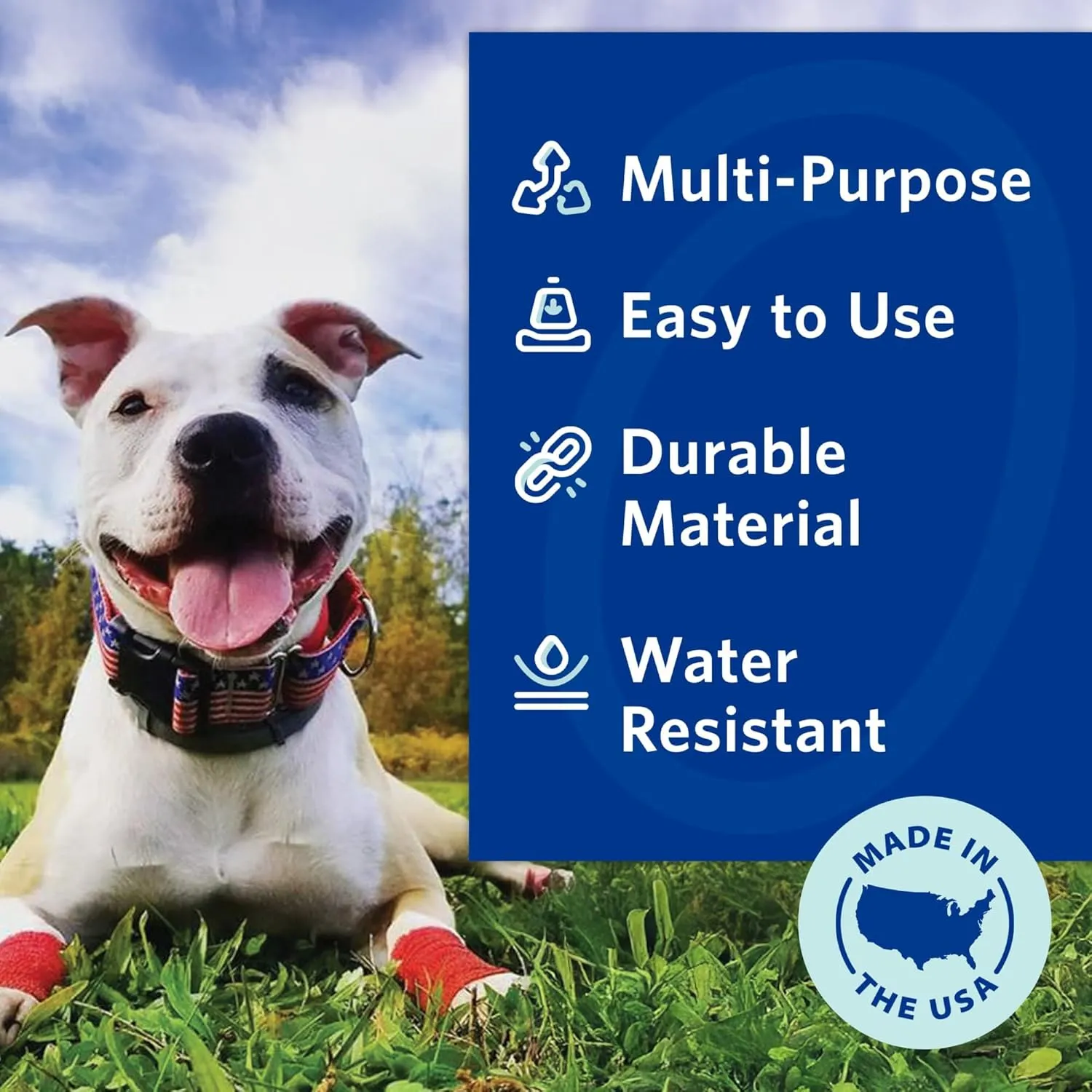 PetFlex Color Pack  Flexible Self-Adhering Elastic Bandage for Wound Care  First Aid Wrap for Small Animals Like Dogs, Cats, and Other Pets - 2 inch, 6 Rolls