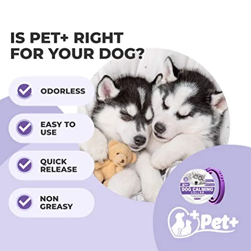 PetPlus Dog Calming Collar for Dogs | A Paw-FECT Dog-Calming Aid | Calming Dog Collar for Your Canine Pet | 2-Month Protection, 1 Collar