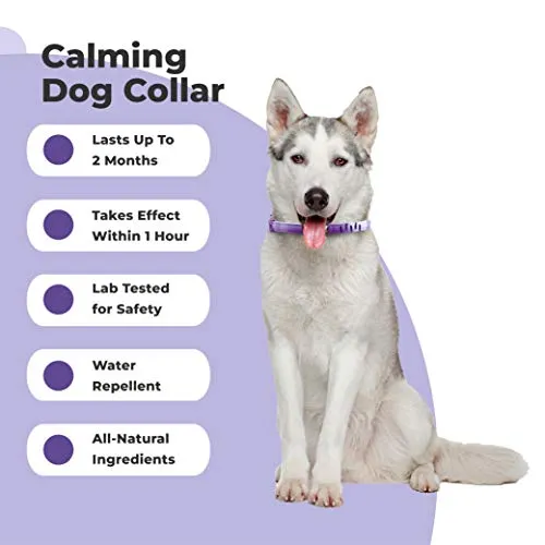 PetPlus Dog Calming Collar for Dogs | A Paw-FECT Dog-Calming Aid | Calming Dog Collar for Your Canine Pet | 2-Month Protection, 1 Collar