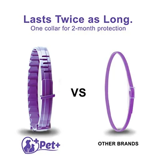 PetPlus Dog Calming Collar for Dogs | A Paw-FECT Dog-Calming Aid | Calming Dog Collar for Your Canine Pet | 2-Month Protection, 1 Collar