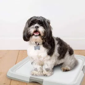 Petprime Pet Dog Pee Pad Holder Puppy Training Pad Holder Tray Indoor Dog Potty Pee Pad Holder for Dogs Training Pad Holder for Small and Large Dog X Large 24" X 24"