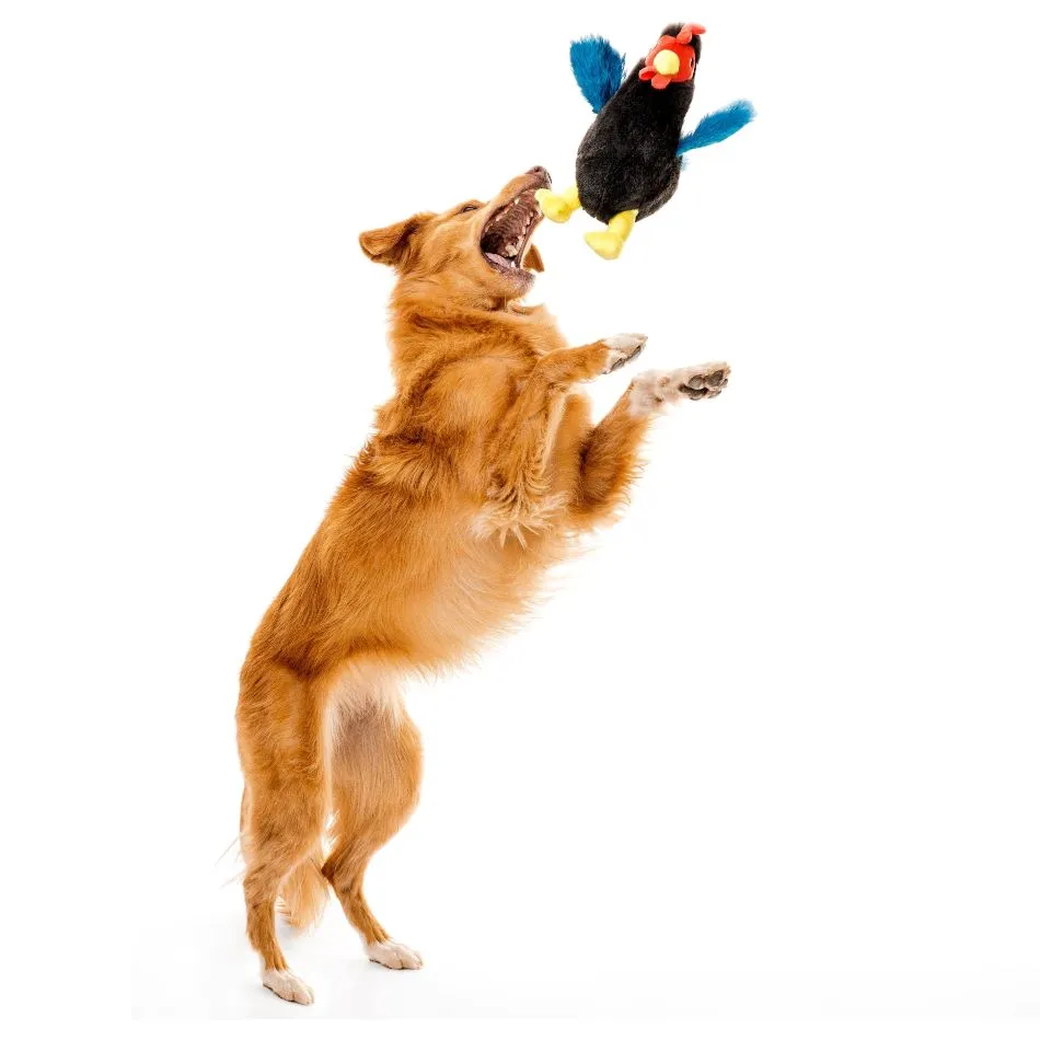 Plush Hen
