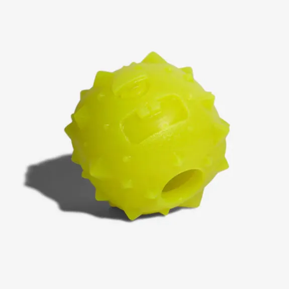 "Rob The Microbe" Dog Toy