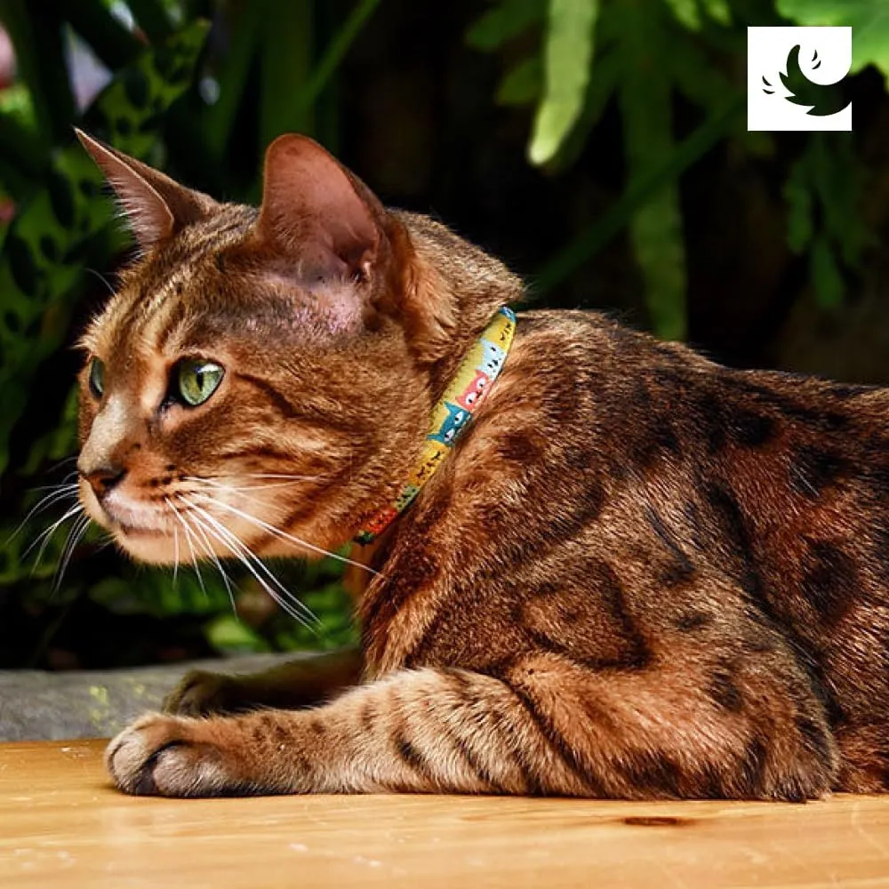 RC Pets Kitty ,