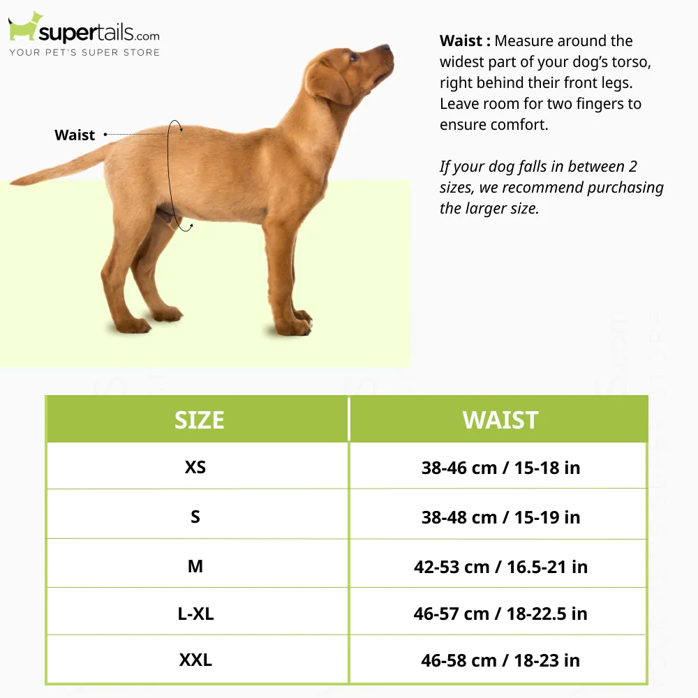 Simple Solution Disposable Diaper for Female Dogs (38x48cm)