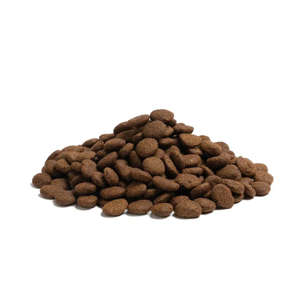 The Beginning Puppy Large Breed Dog Dry Food