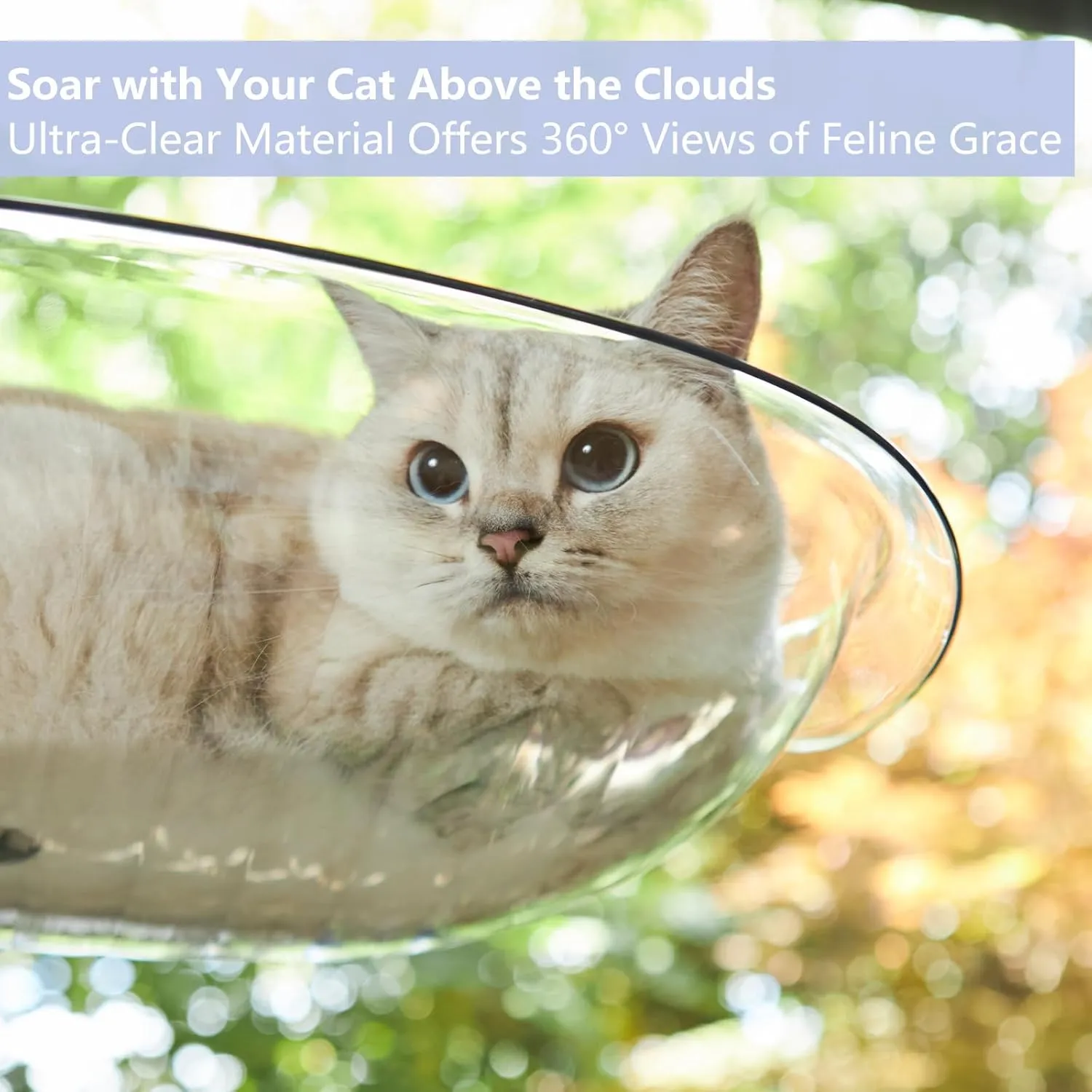 Transparent Cordless Cat Window Perch with Super Strong Suction Cups - Heavy-Duty Cloud Bed for Large & Heavy Cats, Spacious Indoor Hammock -Greenx2
