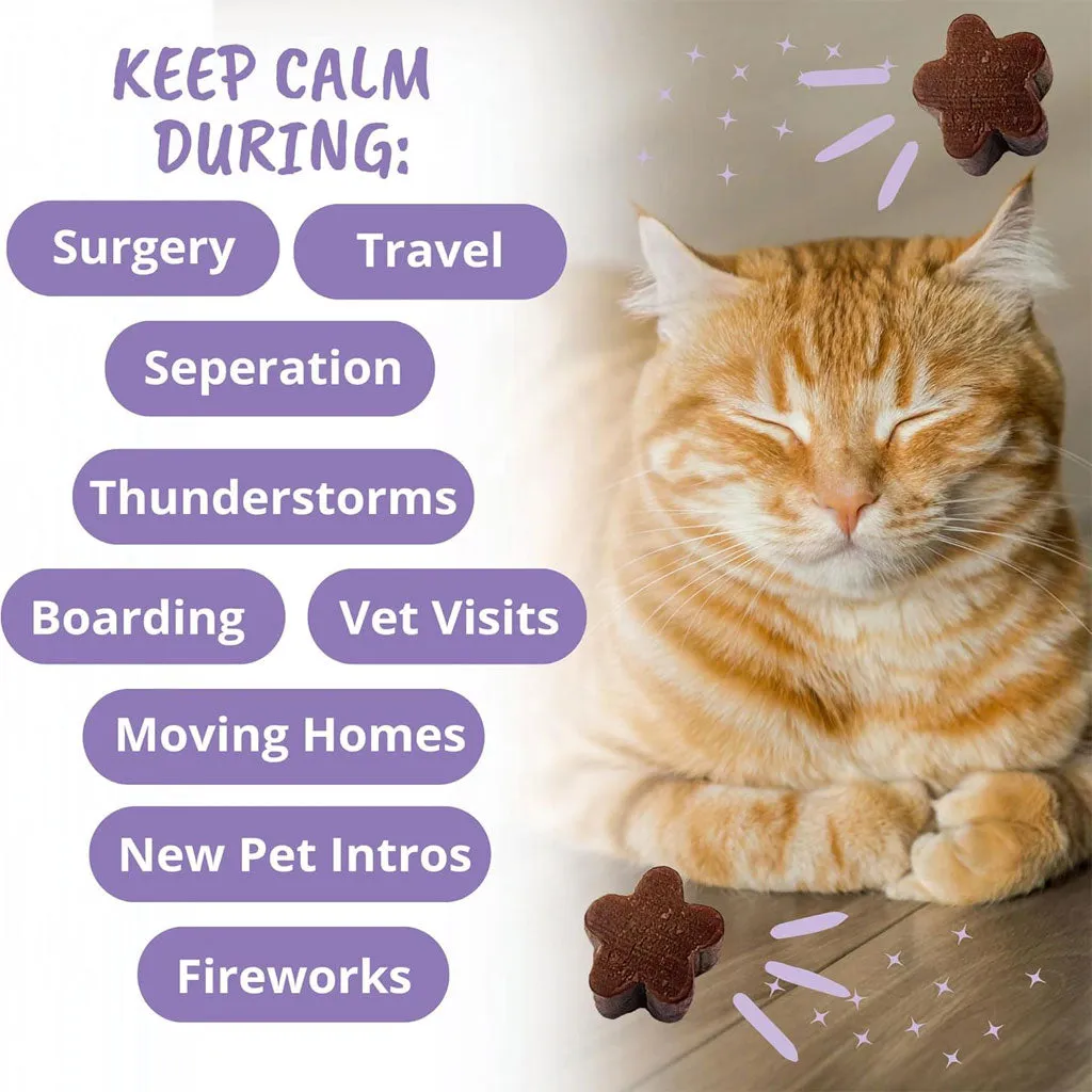 Under the Weather Calming Soft Chews for Cats, 60 count