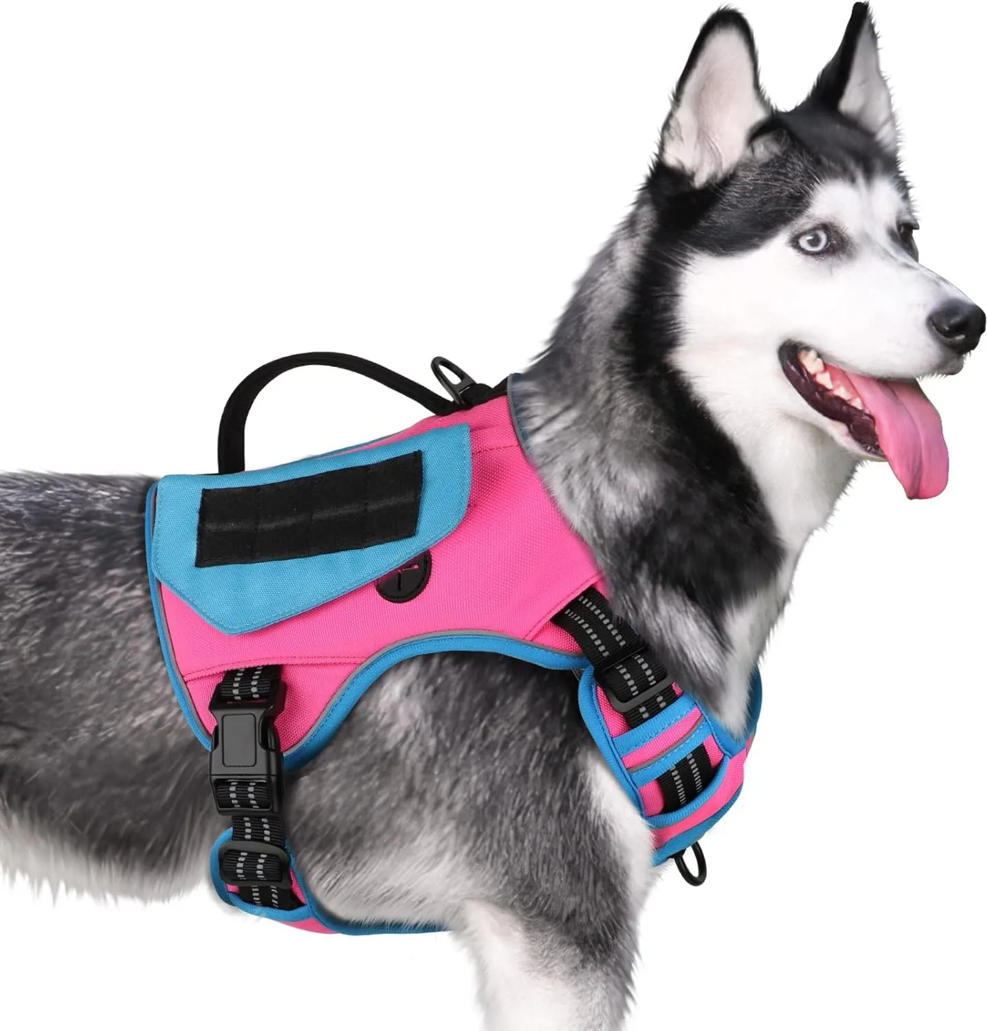 WINGOIN Tactical Dog Harness for Medium Dogs, No Pull Harness with Handle Pockets Poop Bag, Reflective Dog Vest, Military Service Heavy Duty Big Dog Harness for Walking Hiking Training (Pink Blue, M)