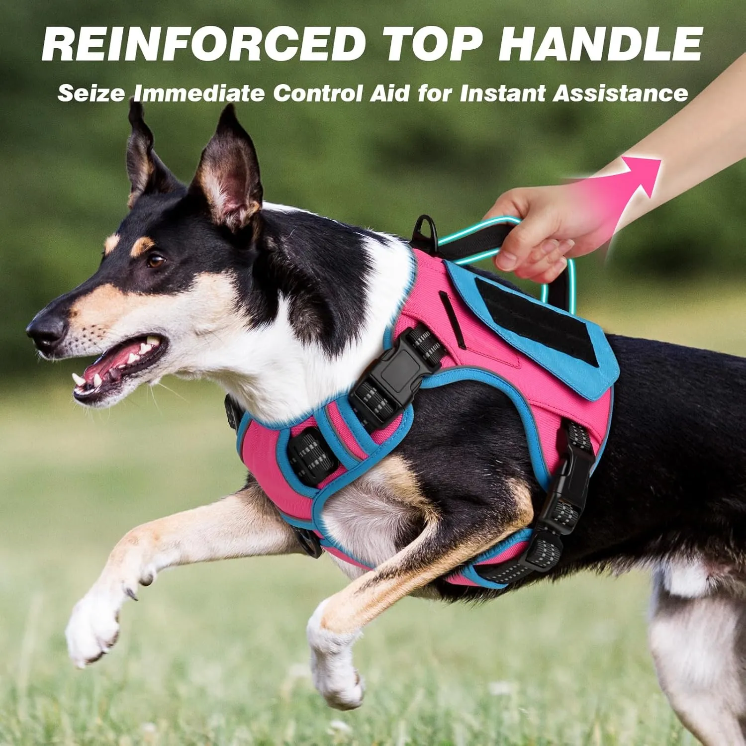 WINGOIN Tactical Dog Harness for Medium Dogs, No Pull Harness with Handle Pockets Poop Bag, Reflective Dog Vest, Military Service Heavy Duty Big Dog Harness for Walking Hiking Training (Pink Blue, M)